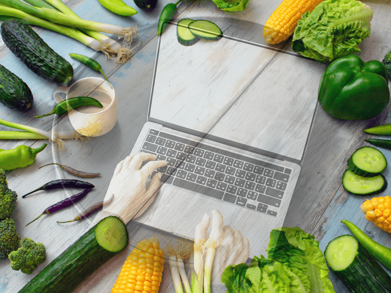 Online program za odrasle