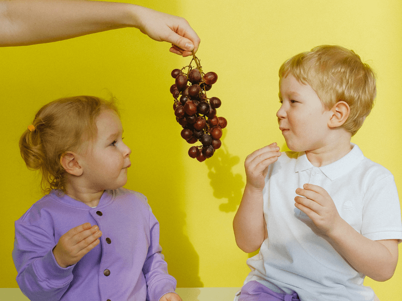 Program za decu zdrava hrana