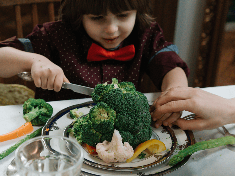 Program za decu zdrava ishrana