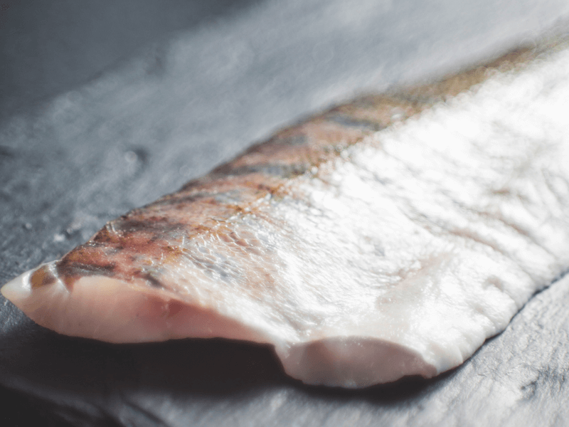 Program za sportiste